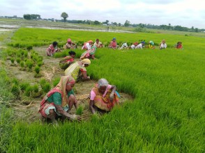 Poverty Alleviation through Modern Agriculture and Irrigation