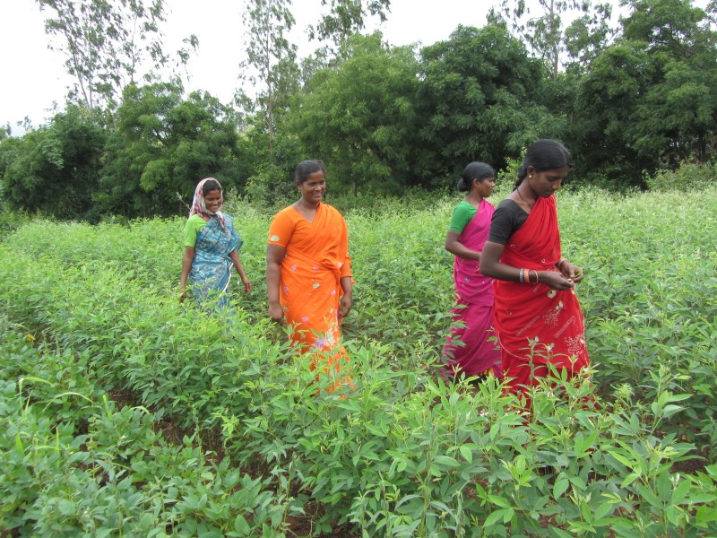 Poverty Alleviation through Modern Agriculture and Irrigation